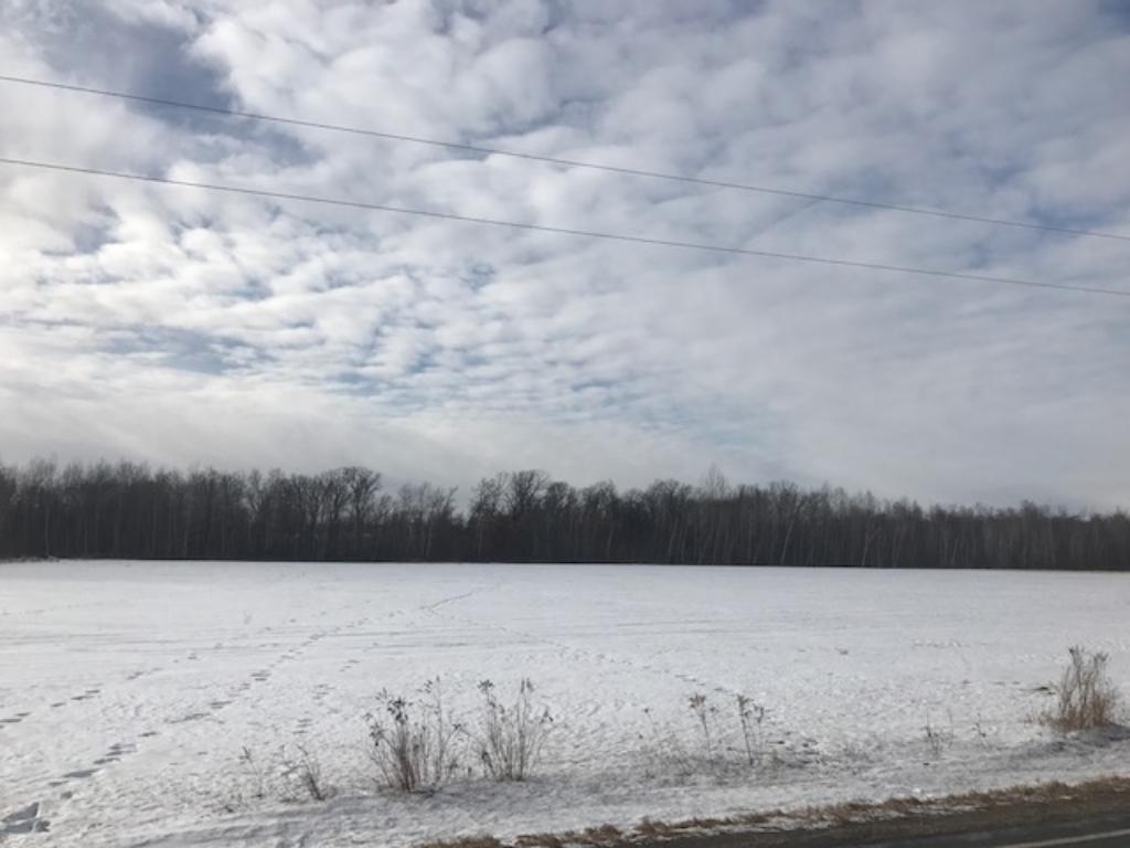 View of Land at 000 Government Road, Harris MN 55032, Harris - Mike Wilen | Minnesota Team Real Estate