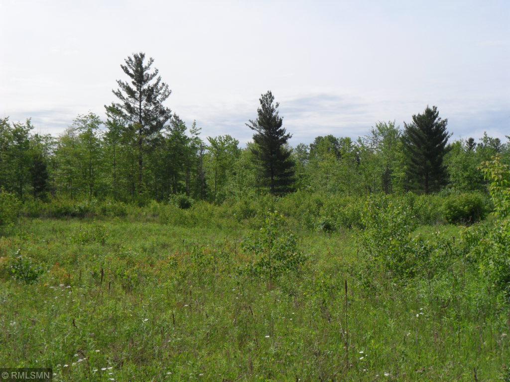 View of Land at 50XXX River Road, Rush City MN 55069, Rush City - Mike Wilen | Minnesota Team Real Estate