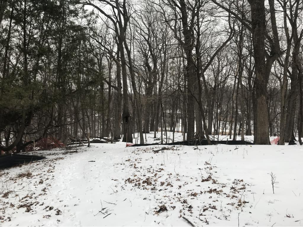 View of Land at 23090 Summit Avenue, Excelsior MN 55331, Excelsior - Mike Wilen | Minnesota Team Real Estate