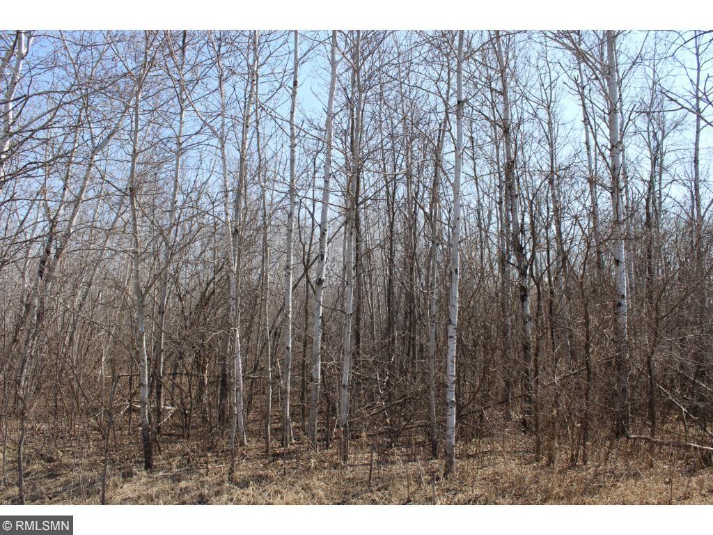 View of Land at 60xx 170th Avenue, Oak Park MN 56357, Oak Park - Mike Wilen | Minnesota Team Real Estate