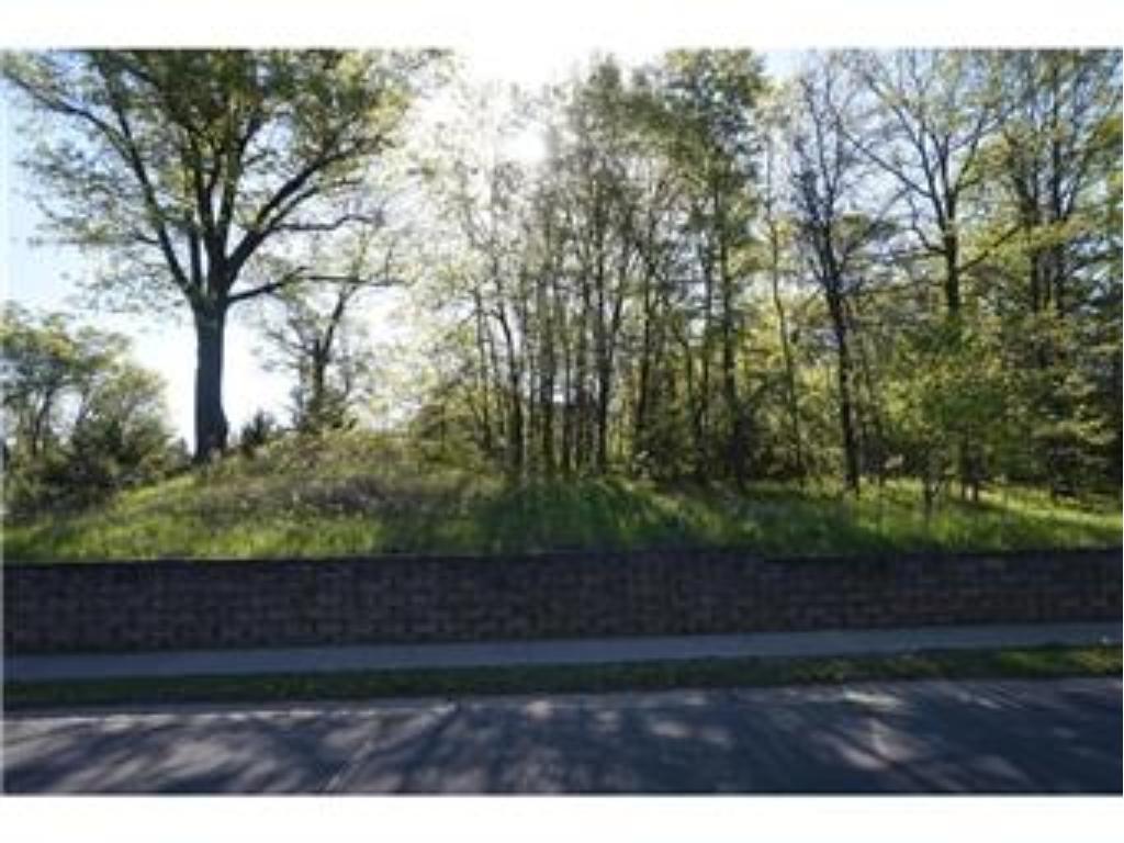 View of Land at 1145 Deer Run, Cambridge MN 55008, Cambridge - Mike Wilen | Minnesota Team Real Estate