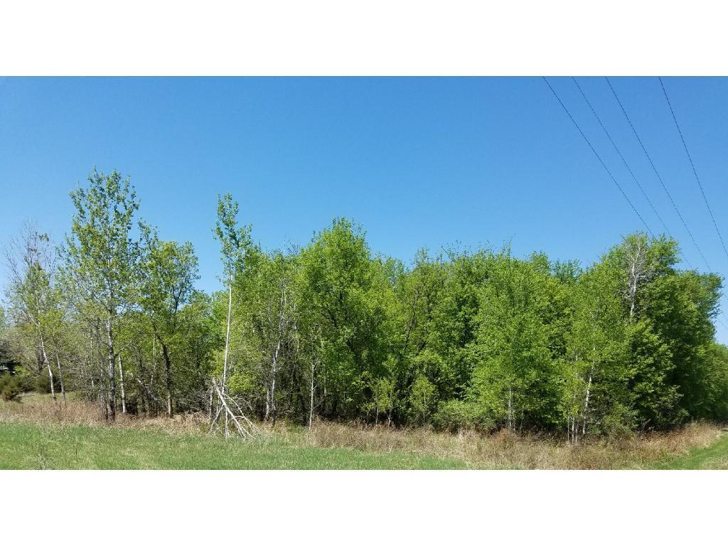 View of Land at xxx Verdin Street, Andover MN 55304, Andover - Mike Wilen | Minnesota Team Real Estate