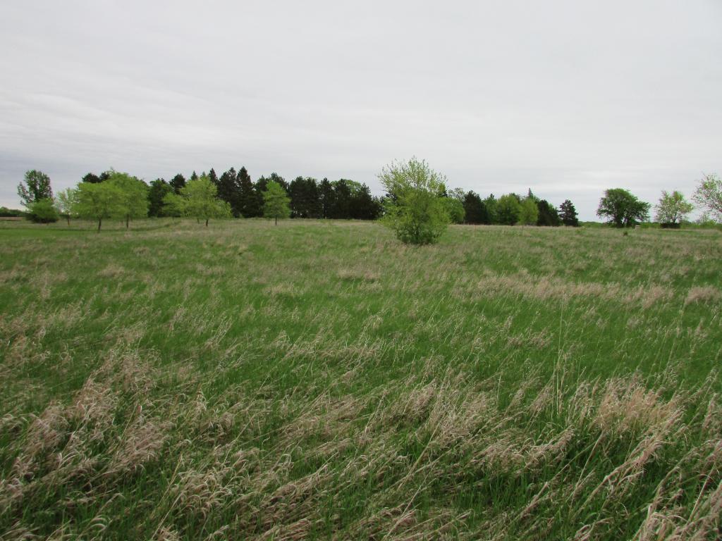 View of Land at xxx 103rd St, Zimmerman MN 55398, Zimmerman - Mike Wilen | Minnesota Team Real Estate