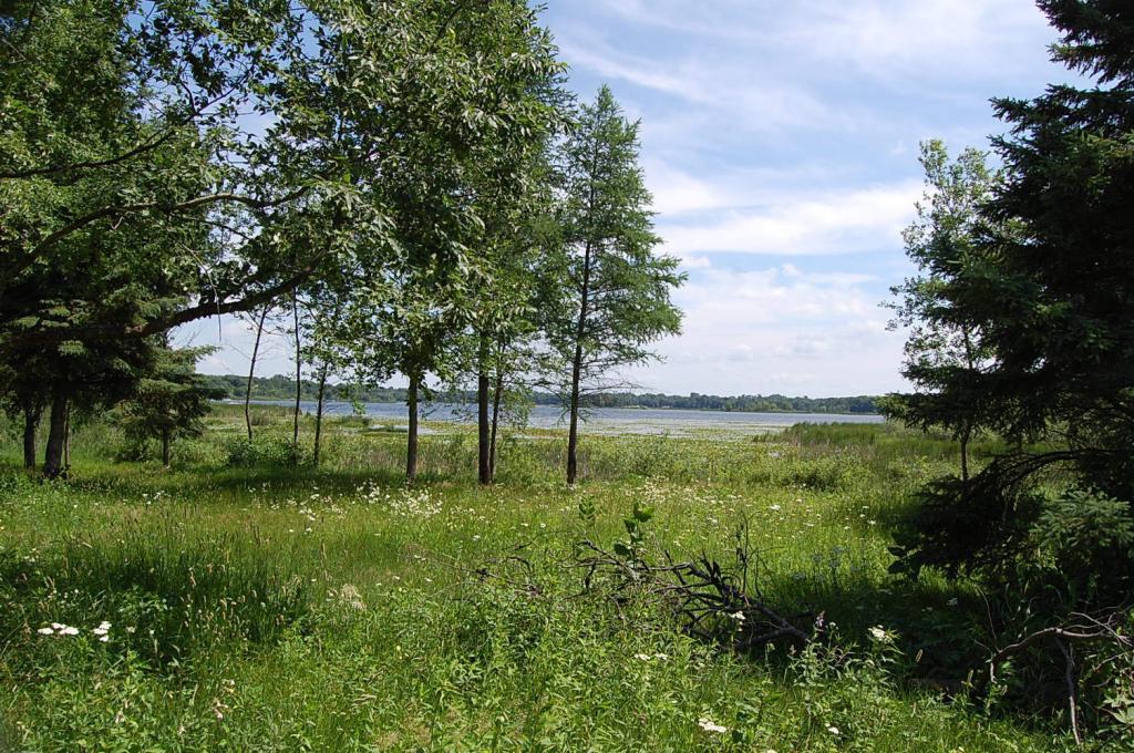 View of Land at 9285 Juno Court, Chisago City MN 55013, Chisago City - Mike Wilen | Minnesota Team Real Estate