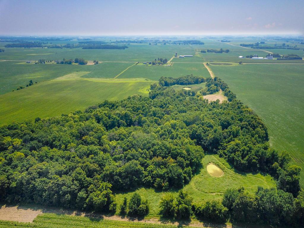 View of Land at xxxx 110th Street, Howard Lake MN 55349, Howard Lake - Mike Wilen | Minnesota Team Real Estate