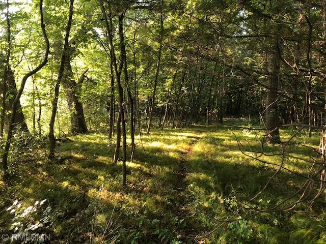 View of Land at XXX 29th Street, Buffalo MN 55313, Buffalo - Mike Wilen | Minnesota Team Real Estate