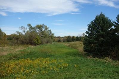 View of Land at XXX Tetonka Lake Rd, Waterville MN 56096, Waterville - Mike Wilen | Minnesota Team Real Estate