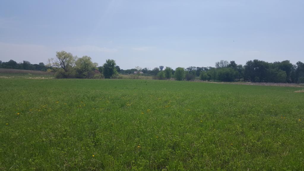 View of Land at 4XXX 165th Street, Hugo MN 55038, Hugo - Mike Wilen | Minnesota Team Real Estate