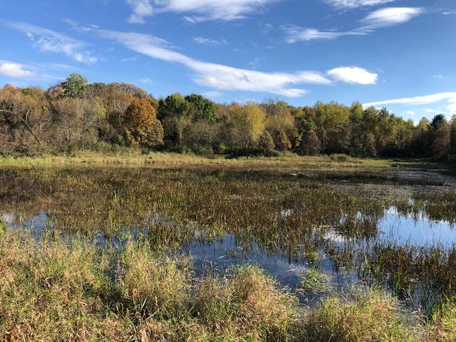 View of Land at XXX Pomroy Avenue, Scandia MN 55073, Scandia - Mike Wilen | Minnesota Team Real Estate