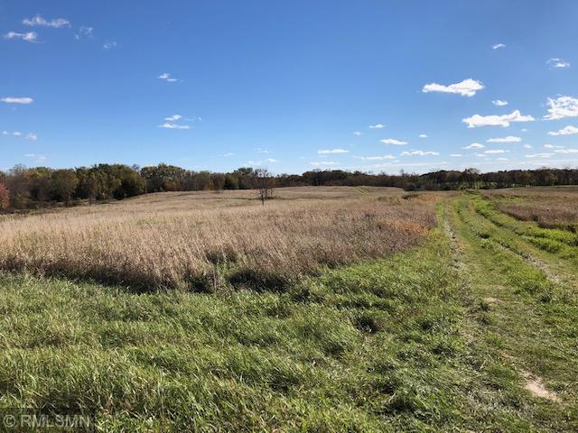 View of Land at 3235 County Road 24, Medina MN 55340, Medina - Mike Wilen | Minnesota Team Real Estate