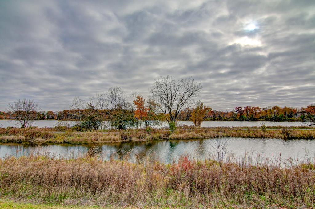 View of Residential at 723 Markgrafs Lake Drive, Woodbury MN 55129, Woodbury - Mike Wilen | Minnesota Team Real Estate