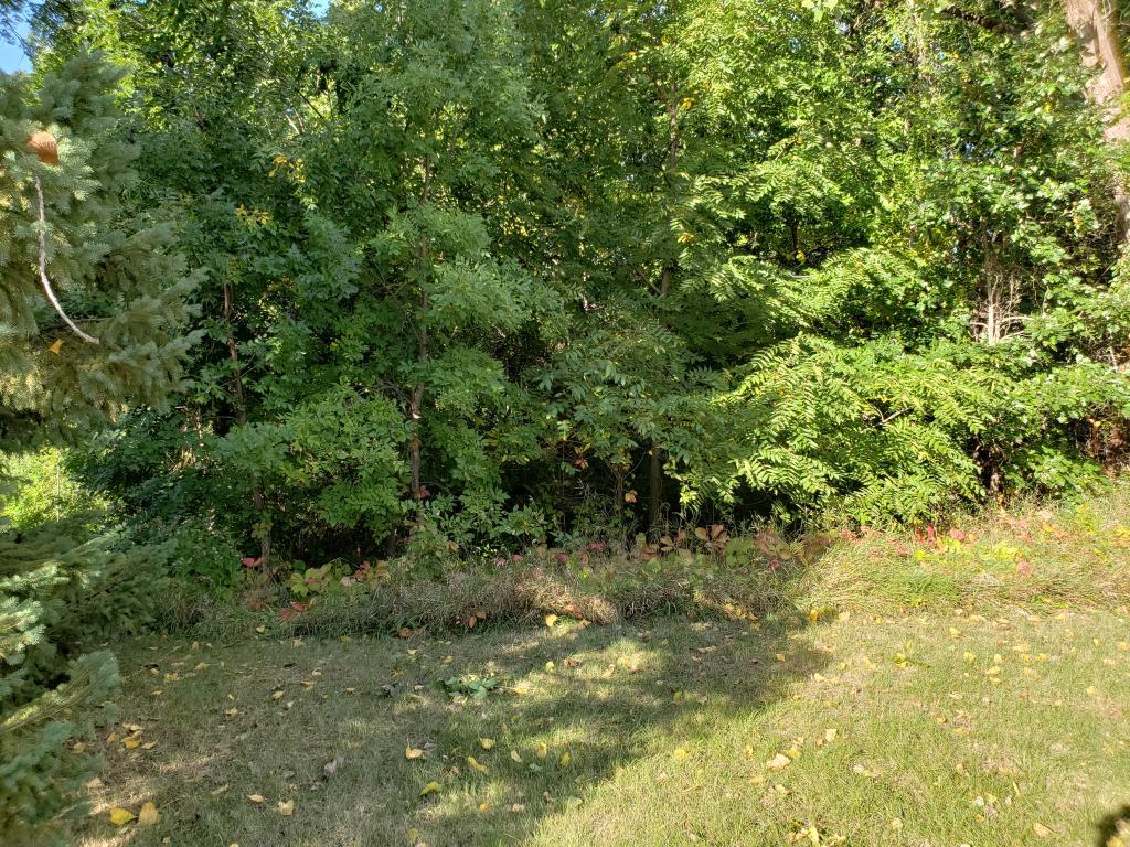 View of Land at xxx Larepenteur Avenue, Maplewood MN 55117, Maplewood - Mike Wilen | Minnesota Team Real Estate