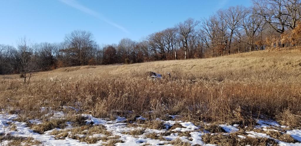 View of Land at xxx 215th Avenue, Elk River MN 55330, Elk River - Mike Wilen | Minnesota Team Real Estate