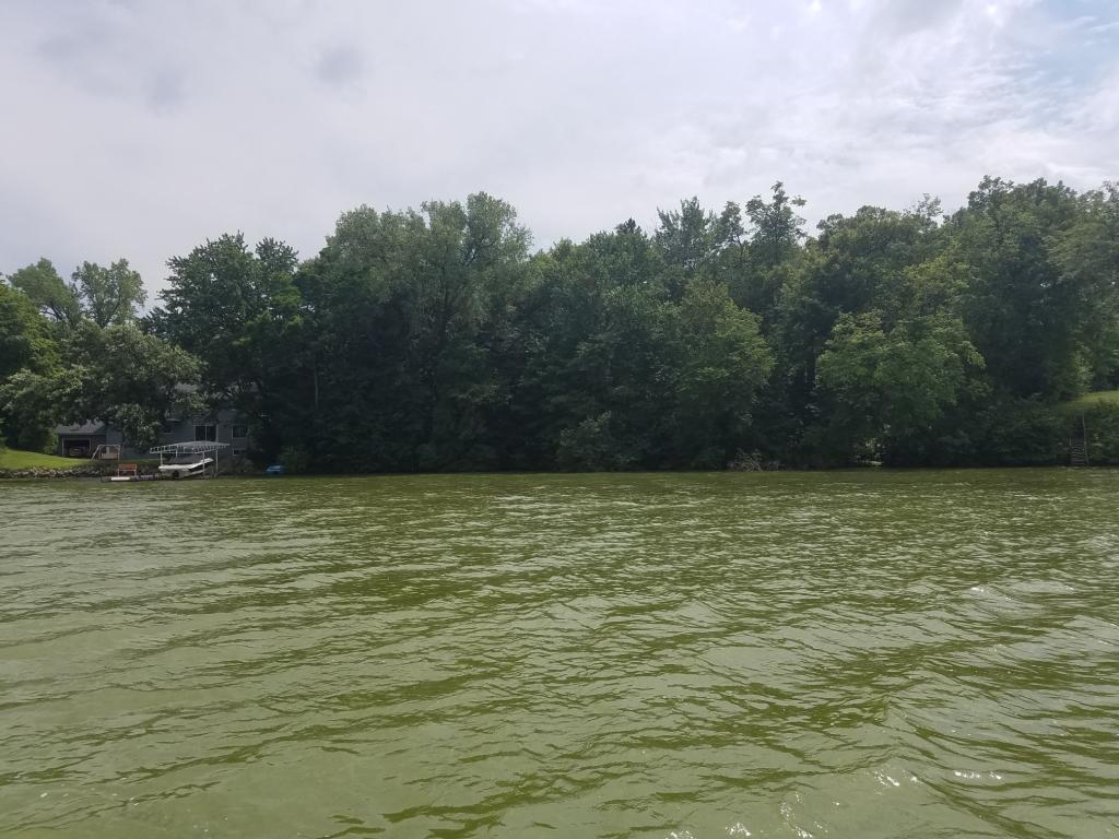 View of Land at xxx South Lakeshore Drive, Independence MN 55359, Independence - Mike Wilen | Minnesota Team Real Estate