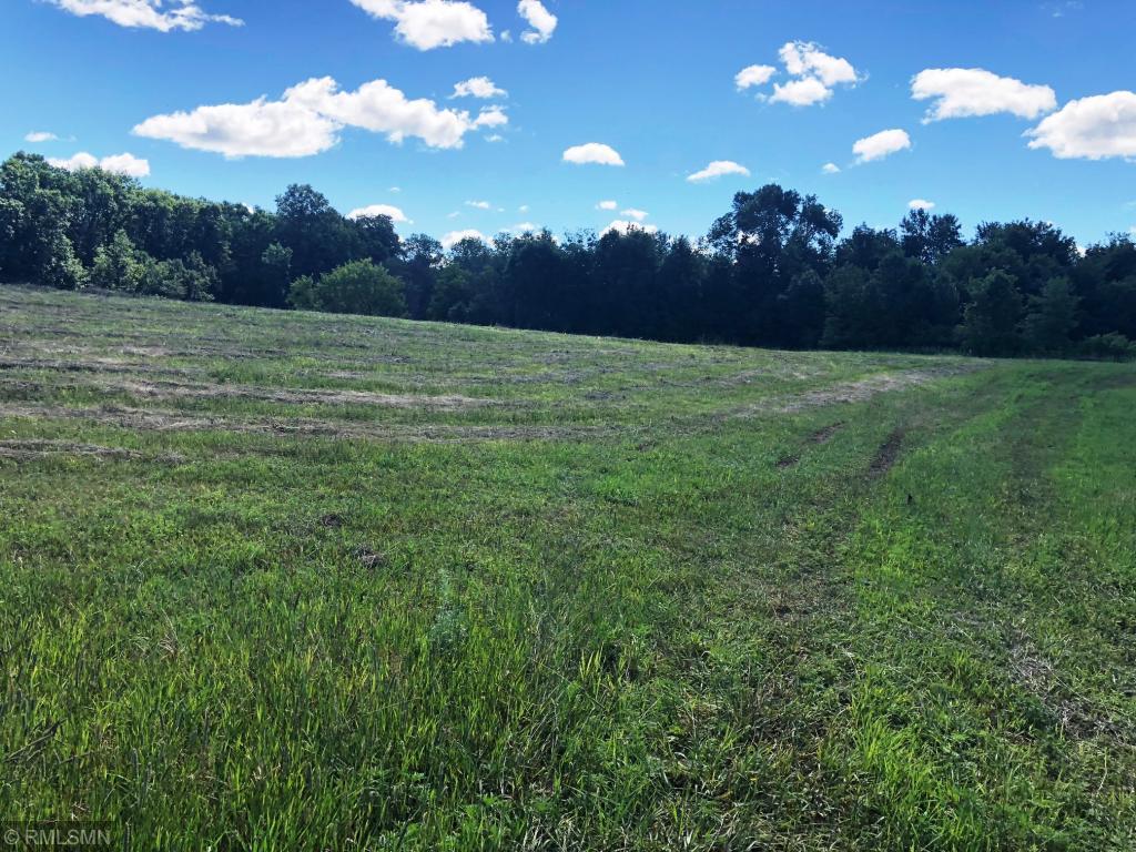 View of Land at 21959 Pinnaker Road, Nowthen MN 55303, Nowthen - Mike Wilen | Minnesota Team Real Estate