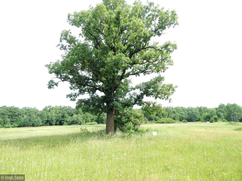 View of Land at XXX 80th Avenue, Princeton MN 55371, Princeton - Mike Wilen | Minnesota Team Real Estate