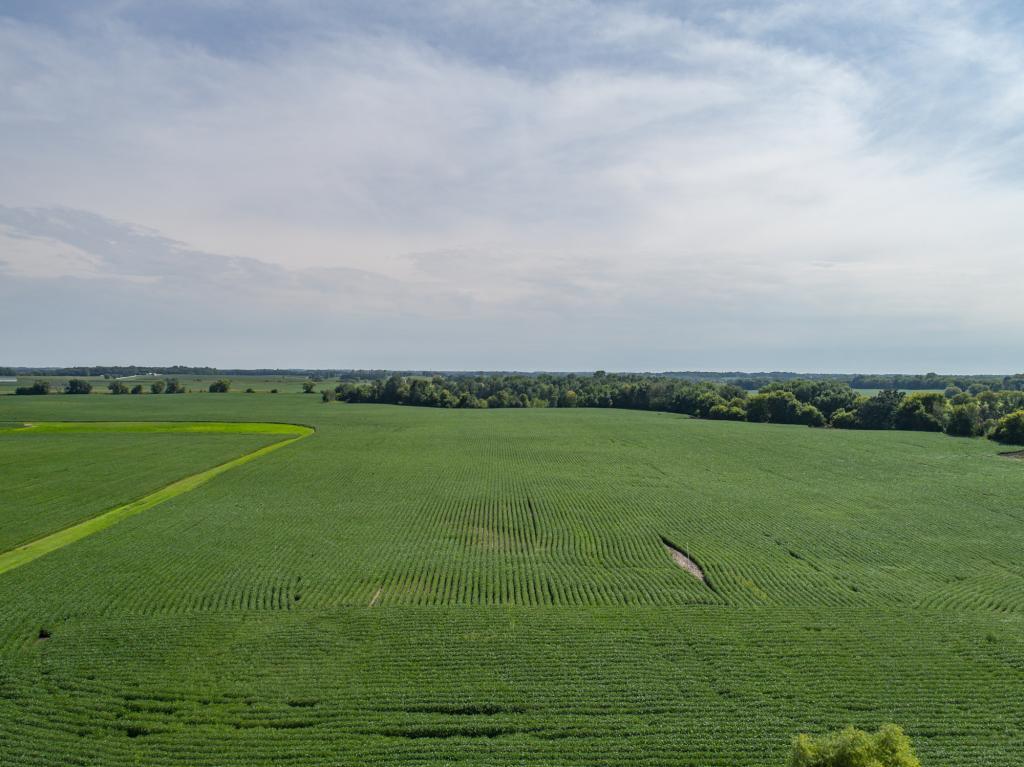 View of Land at 14xxx County Road 122, Watertown MN 55388, Watertown - Mike Wilen | Minnesota Team Real Estate