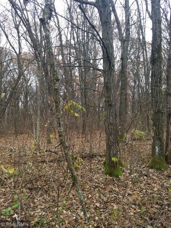 View of Land at 000 152nd Street, Princeton MN 55371, Princeton - Mike Wilen | Minnesota Team Real Estate