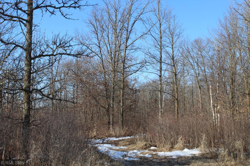 View of Land at 35xxx 30th Avenue, Isle MN 56342, Isle - Mike Wilen | Minnesota Team Real Estate