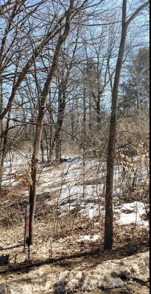 View of Land at XXX Pleason Avenue, South Haven MN 55382, South Haven - Mike Wilen | Minnesota Team Real Estate