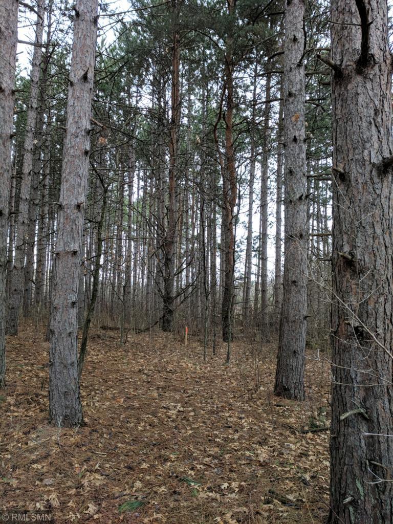 View of Land at Lot 4 220th Avenue, Oak Grove MN 55303, Oak Grove - Mike Wilen | Minnesota Team Real Estate