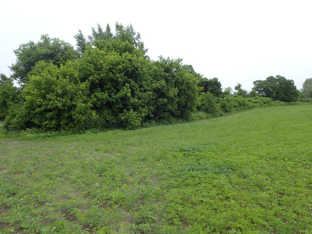 View of Land at XXX B 55th Street, Buffalo MN 55313, Buffalo - Mike Wilen | Minnesota Team Real Estate