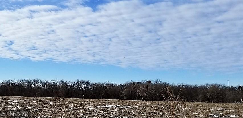 View of Land at 30260 Rydeen Avenue, Shafer MN 55074, Shafer - Mike Wilen | Minnesota Team Real Estate