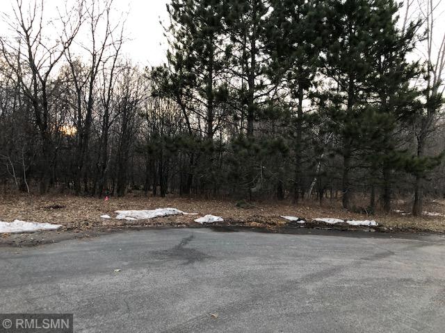 View of Land at xxx Victoria Drive, Elk River MN 55330, Elk River - Mike Wilen | Minnesota Team Real Estate