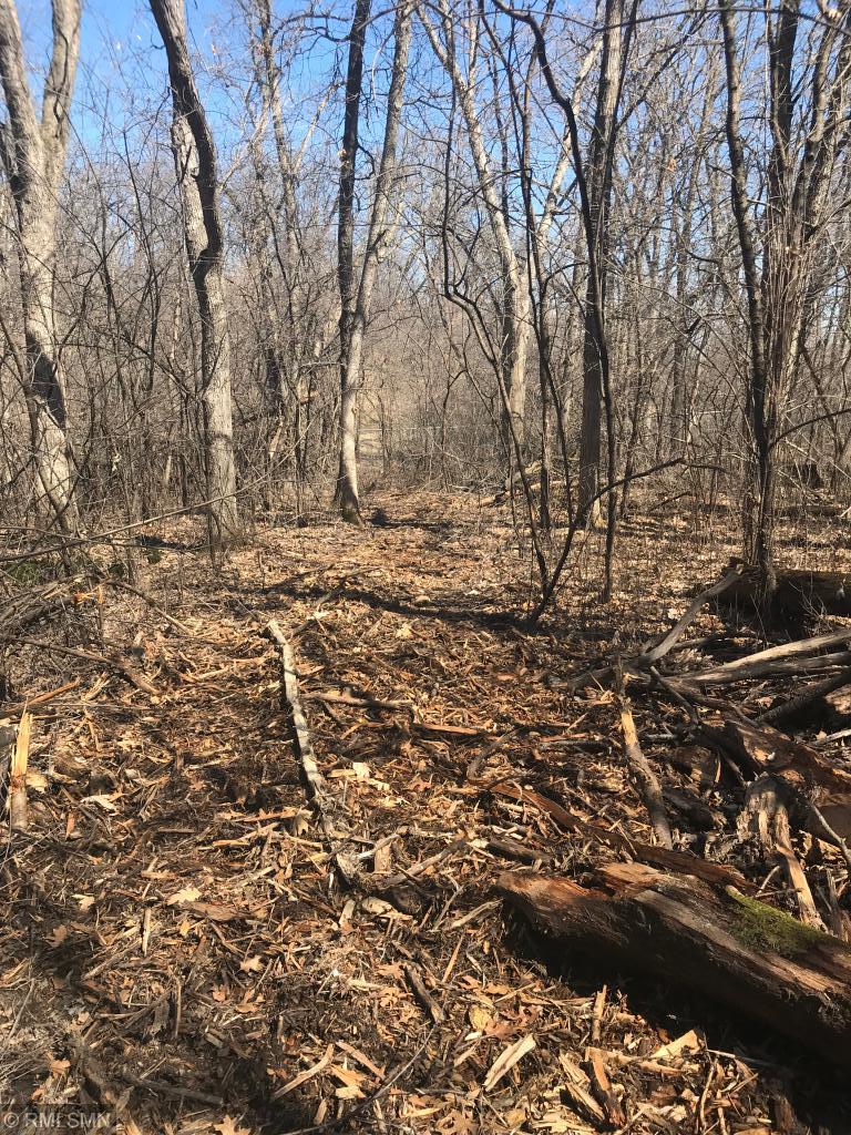 View of Land at 18020 Kenrick Avenue and 181 St., Lakeville MN 55044, Lakeville - Mike Wilen | Minnesota Team Real Estate