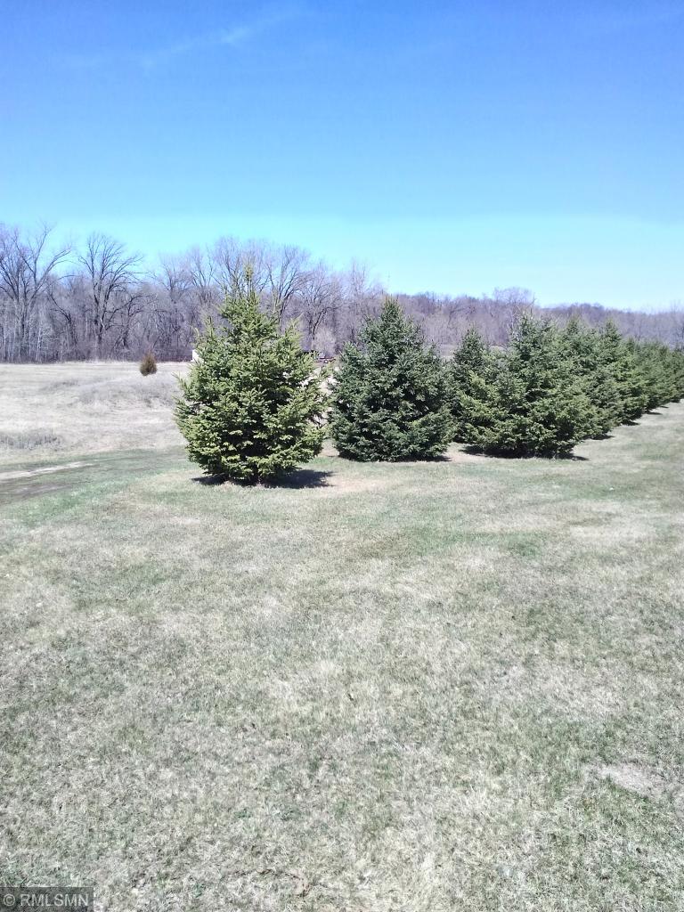 View of Land at TBD Merles Lane, Nowthen MN 55303, Nowthen - Mike Wilen | Minnesota Team Real Estate