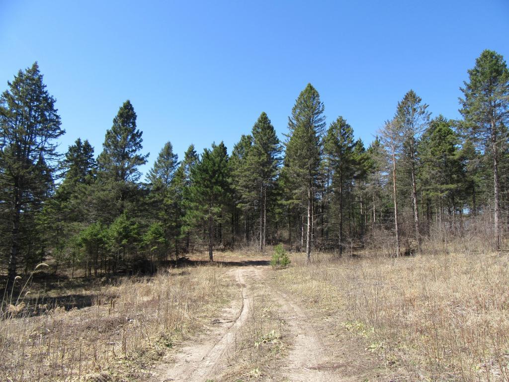 View of Land at (Lot 6) Blackfoot Street, Cambridge MN 55008, Cambridge - Mike Wilen | Minnesota Team Real Estate