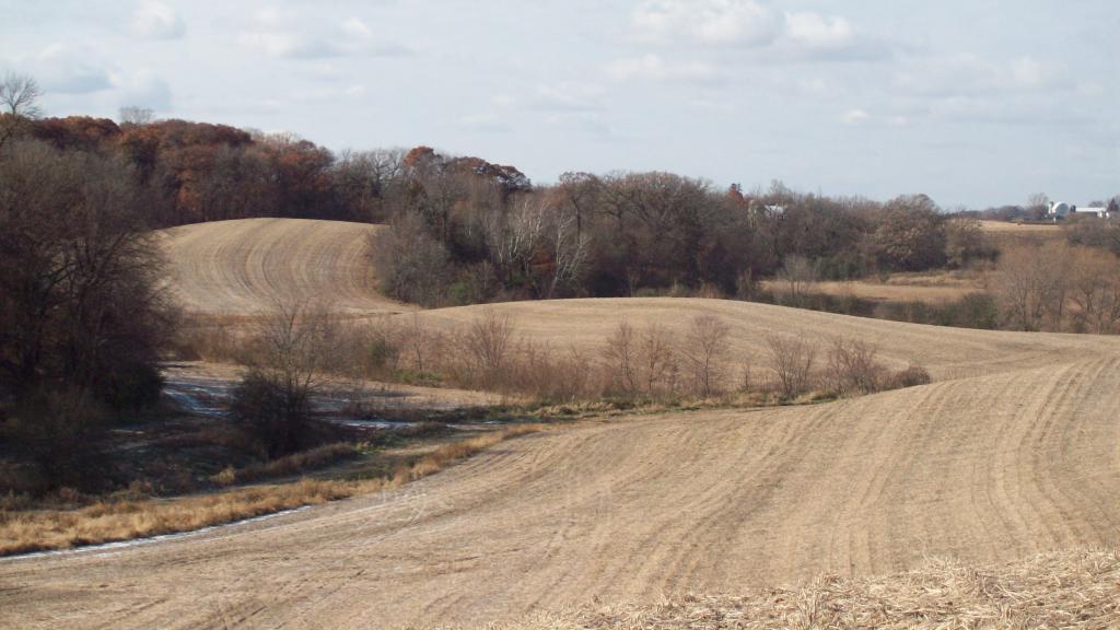 View of Land at 11xxx Market Avenue, Cologne MN 55322, Cologne - Mike Wilen | Minnesota Team Real Estate