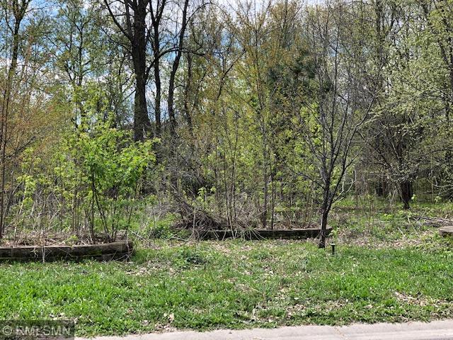 View of Land at 10135 47th, Saint Michael MN 55376, Saint Michael - Mike Wilen | Minnesota Team Real Estate