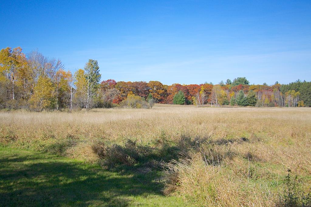 View of Land at xxx Heather Street, Cambridge MN 55008, Cambridge - Mike Wilen | Minnesota Team Real Estate
