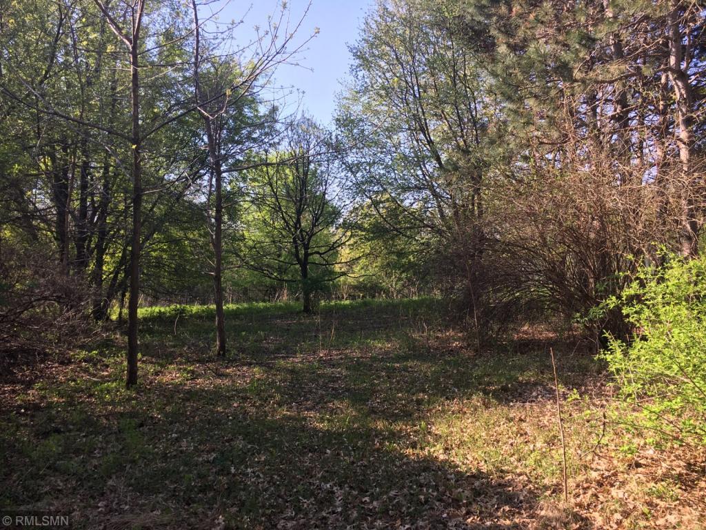 View of Land at 79XX 113th Street, Cottage Grove MN 55016, Cottage Grove - Mike Wilen | Minnesota Team Real Estate