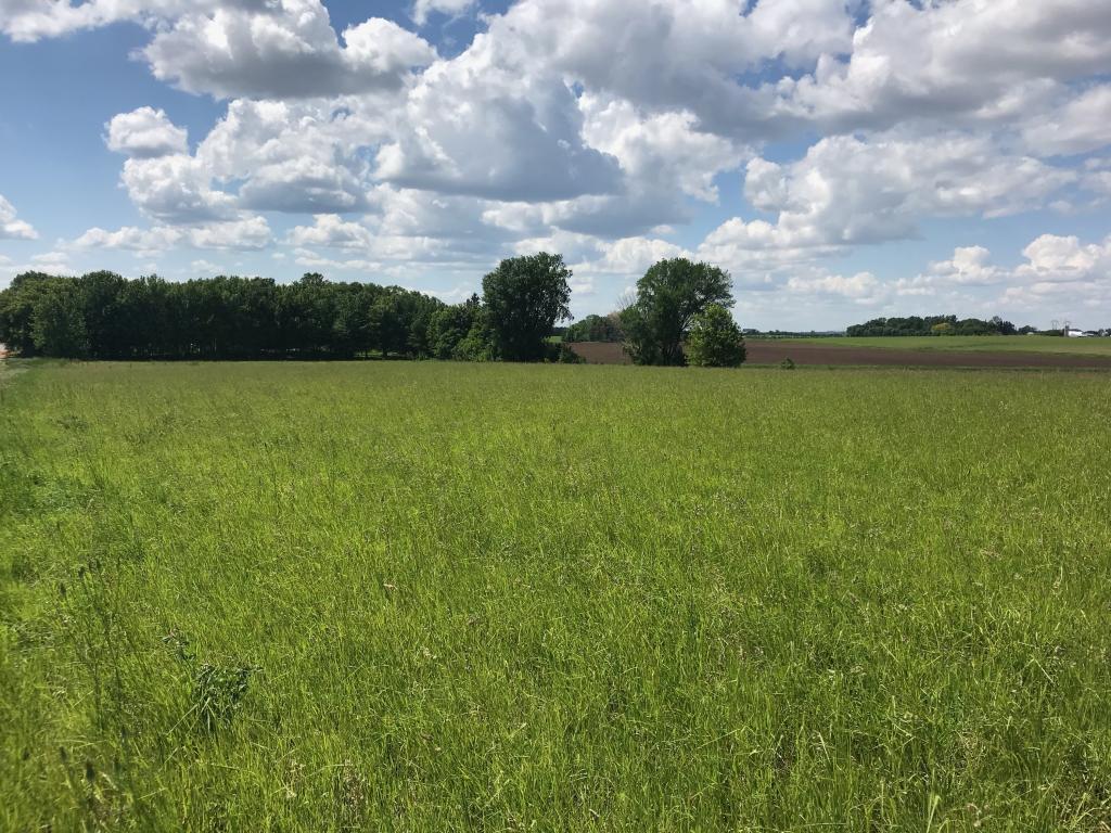 View of Land at Parcel 1 100th, Cottage Grove MN 55016, Cottage Grove - Mike Wilen | Minnesota Team Real Estate