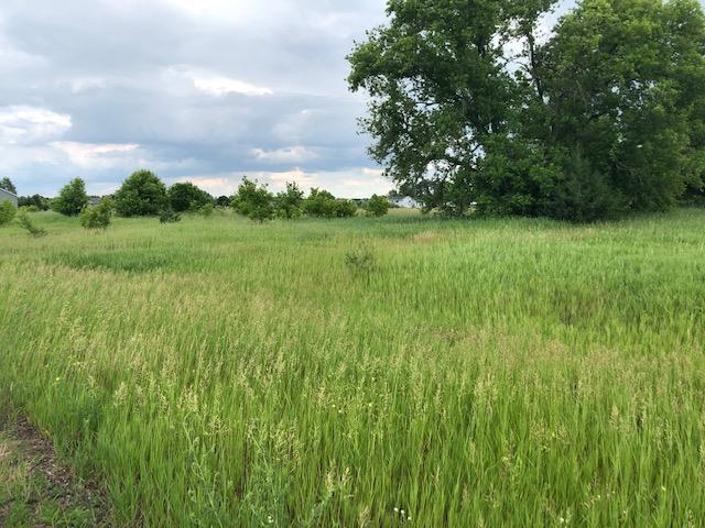 View of Land at 148xx 302nd Avenue, Princeton MN 55371, Princeton - Mike Wilen | Minnesota Team Real Estate