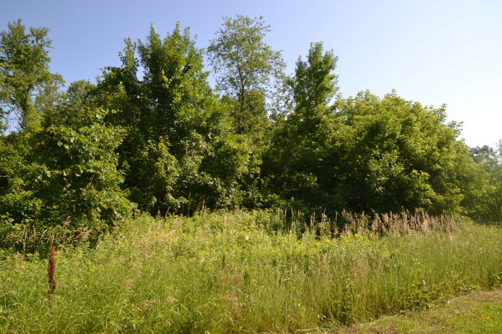 View of Land at 000 Polk Street, Cedar MN 55011, Cedar - Mike Wilen | Minnesota Team Real Estate