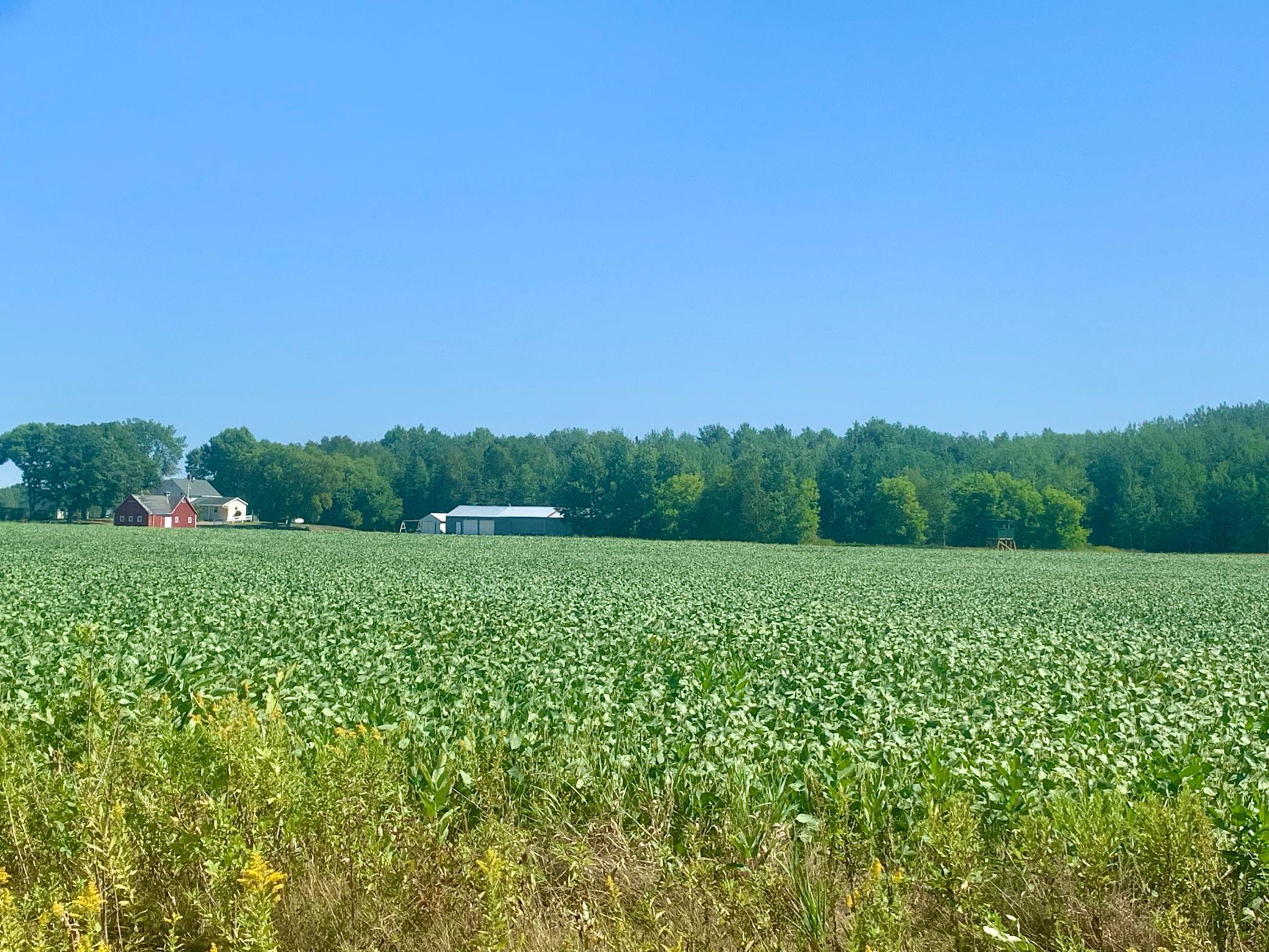 View of Land at 13xx 140th Street, Milaca MN 56353, Milaca - Mike Wilen | Minnesota Team Real Estate