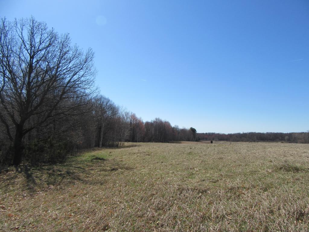 View of Land at XXX 253rd Avenue, Stacy MN 55079, Stacy - Mike Wilen | Minnesota Team Real Estate