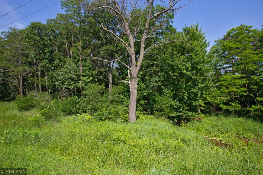 View of Land at xxxx Viking Blvd., Wyoming MN 55092, Wyoming - Mike Wilen | Minnesota Team Real Estate