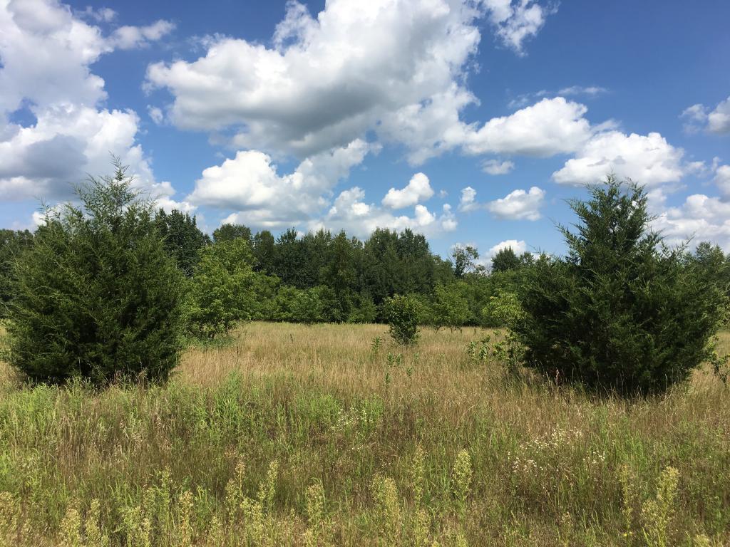 View of Land at 24xxx Lever Street NE, Isanti MN 55040, Isanti - Mike Wilen | Minnesota Team Real Estate
