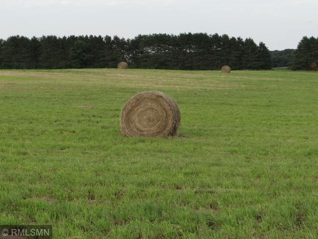 View of Land at xxxx 108th Street, Princeton MN 55371, Princeton - Mike Wilen | Minnesota Team Real Estate
