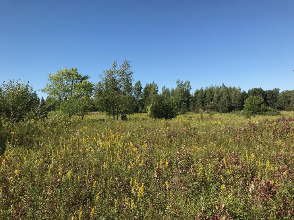 View of Land at 10537 207th Circle, Elk River MN 55330, Elk River - Mike Wilen | Minnesota Team Real Estate