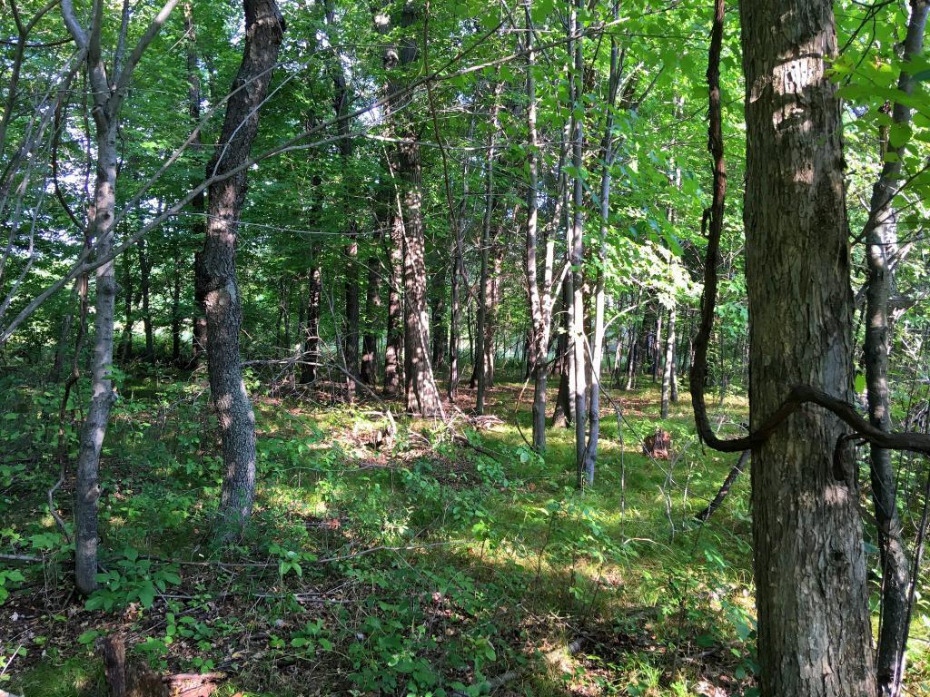 View of Land at XXX Crane Street, Oak Grove MN 55011, Oak Grove - Mike Wilen | Minnesota Team Real Estate