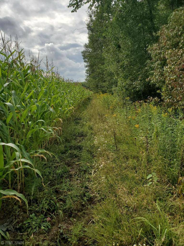 View of Land at 11XXX 320TH Street, Onamia MN 56359, Onamia - Mike Wilen | Minnesota Team Real Estate