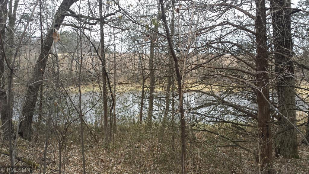 View of Land at 8xxx 148th Street, Annandale MN 55302, Annandale - Mike Wilen | Minnesota Team Real Estate