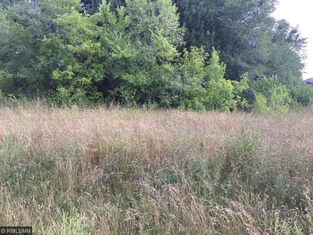 View of Land at 813 Marion St SE, Isanti MN 55040, Isanti - Mike Wilen | Minnesota Team Real Estate