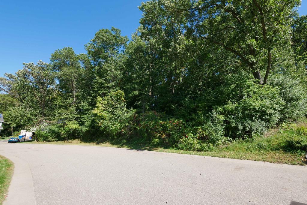 View of Land at 8237 Cleary Court, Inver Grove Heights MN 55076, Inver Grove Heights - Mike Wilen | Minnesota Team Real Estate