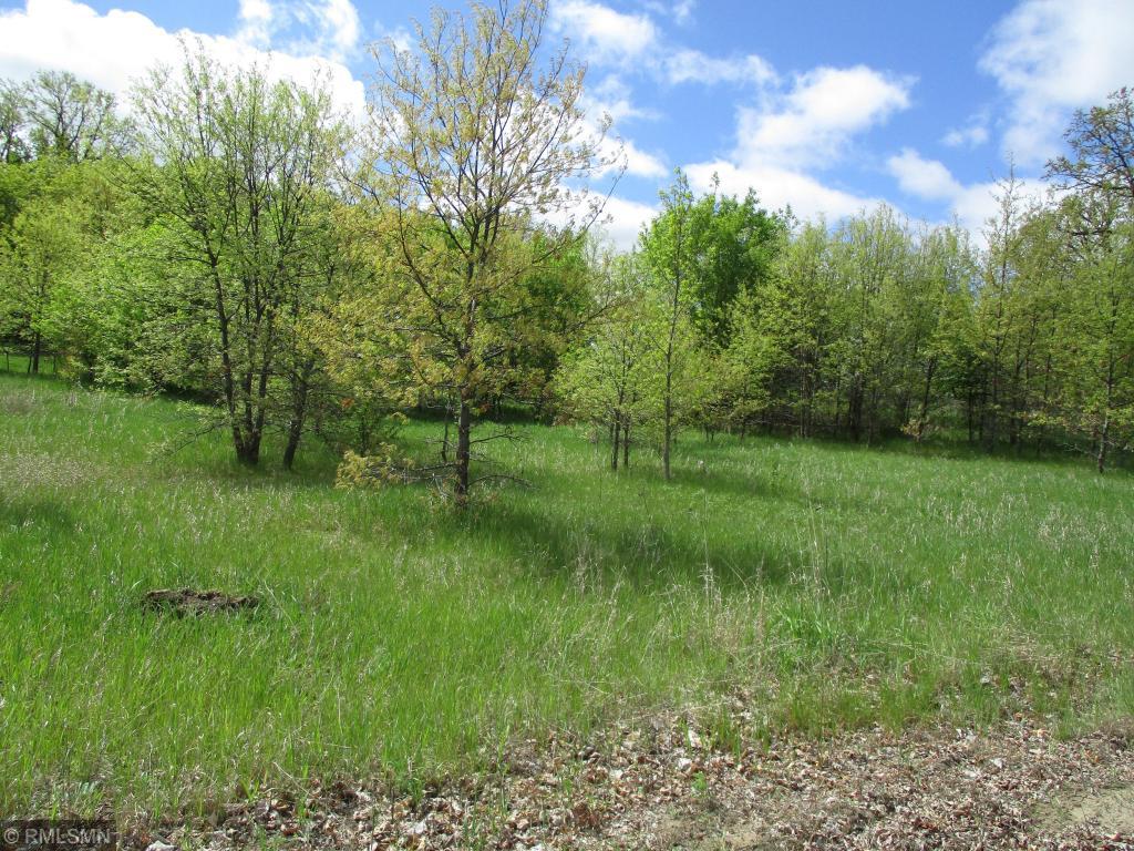 View of Land at XXX 378th Street, North Branch MN 55056, North Branch - Mike Wilen | Minnesota Team Real Estate